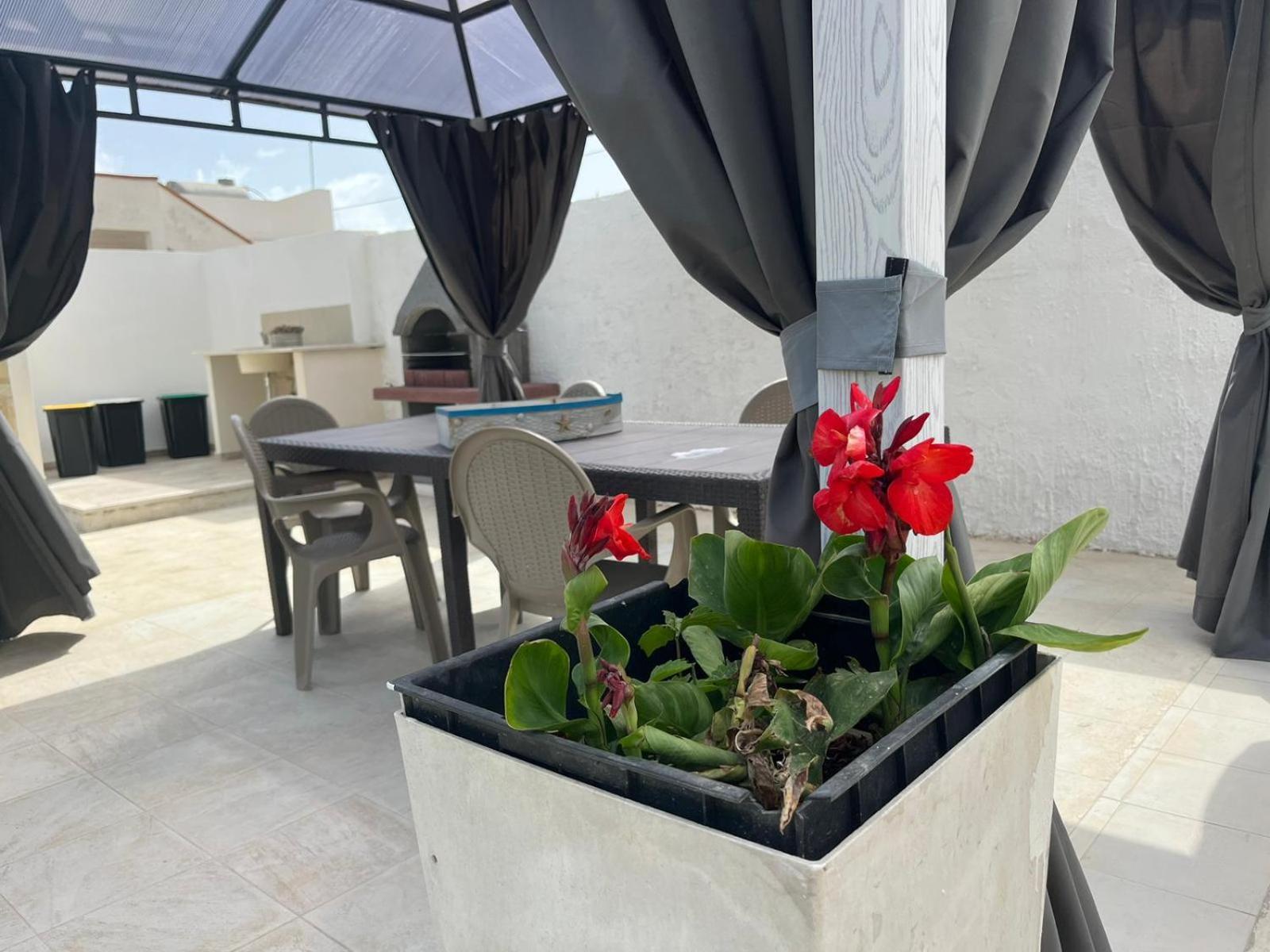 Villa Tellina Mare Luna Granelli Ngoại thất bức ảnh